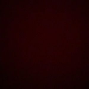 Meet your Posher, Ben